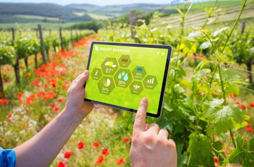 Organically grow the holistic world view